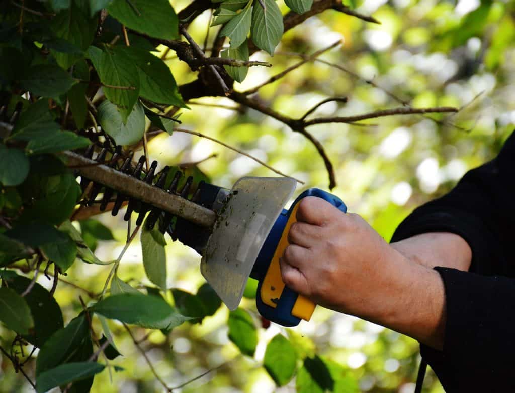 A man uses a hedge trimmer to cut bushes