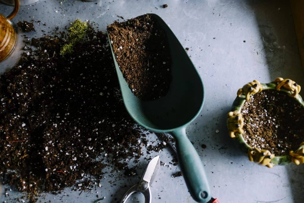 Green garden trowel with soil on a table