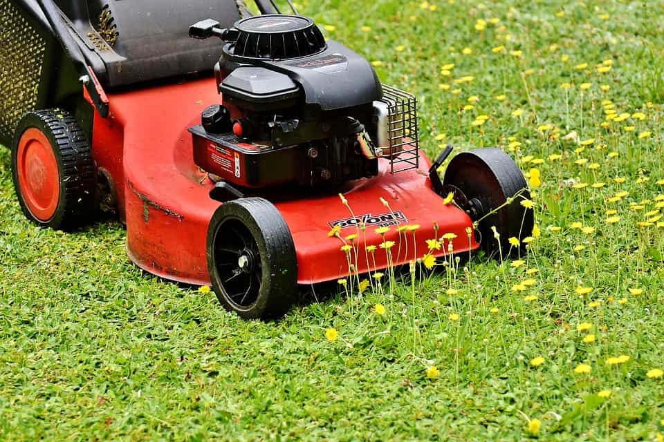 A red and black lawn mower 