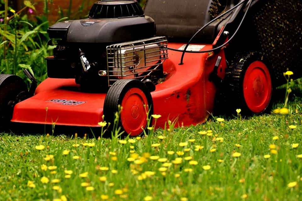 A red and black lawn mower in the backyard