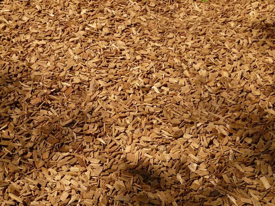 A pile of chipped wood