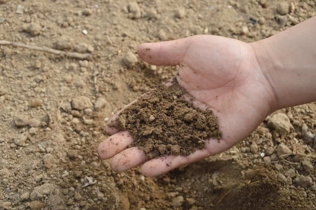 Soil milorganite fertilizer