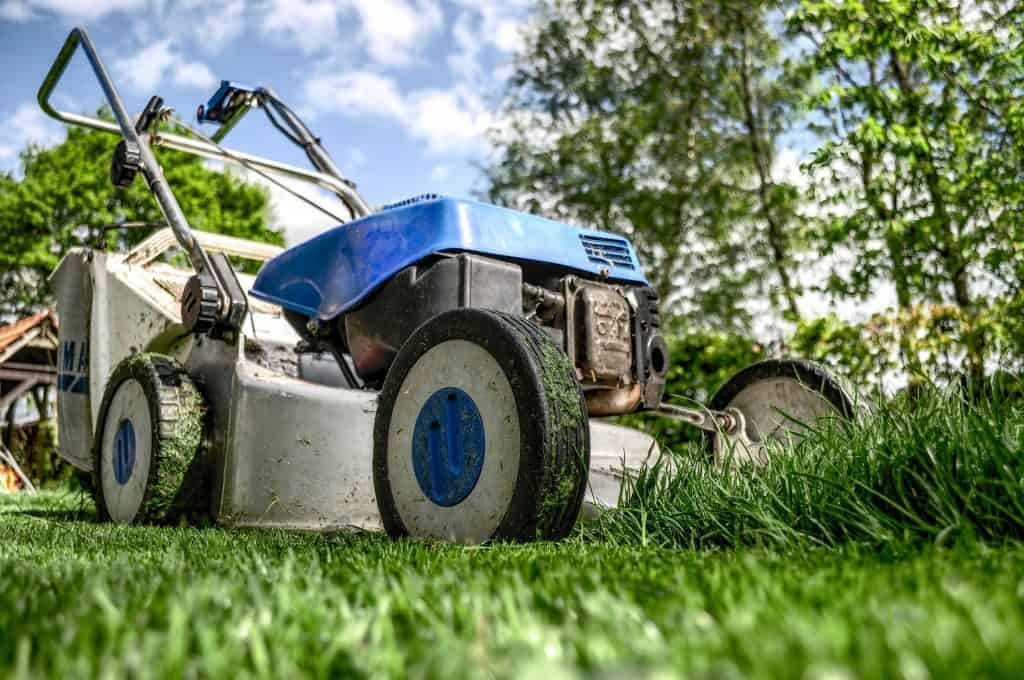 Lawn mower after cutting grass on a lawn