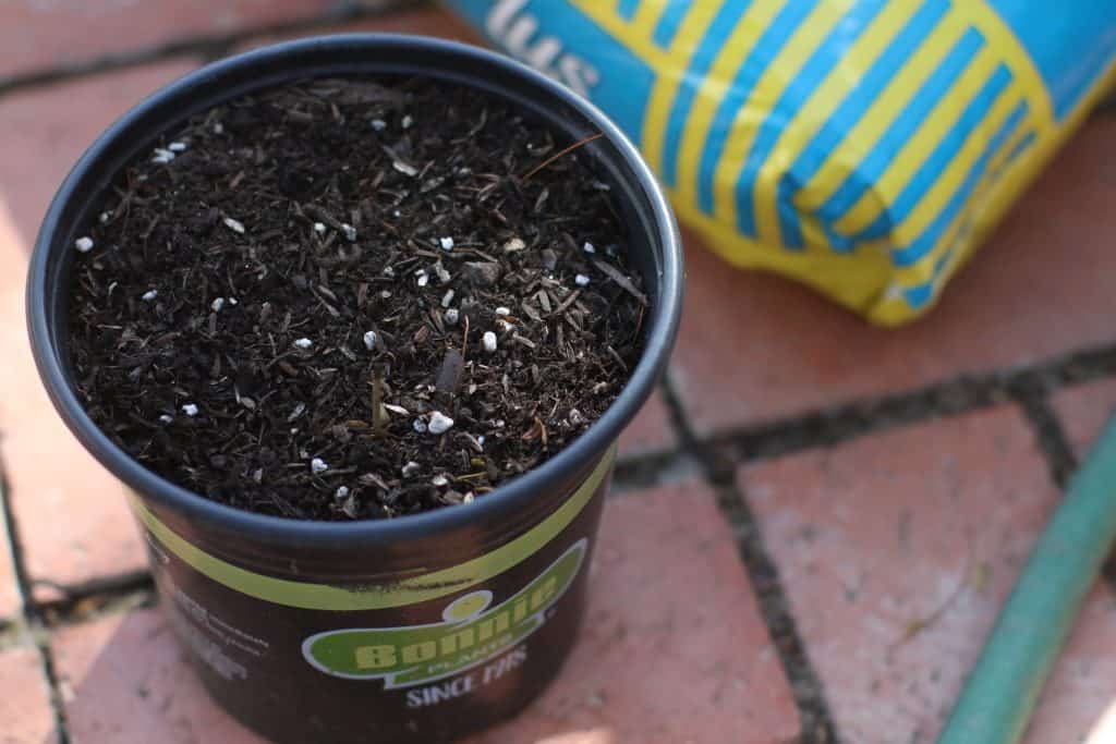 A container full of potting soil