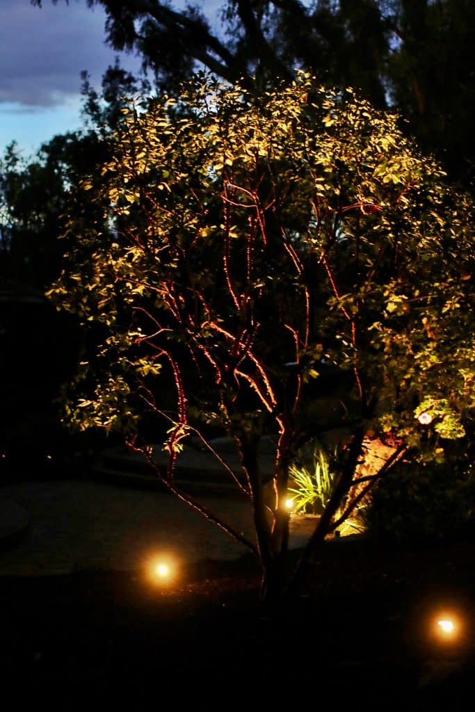 An outdoor landscape lighting setup