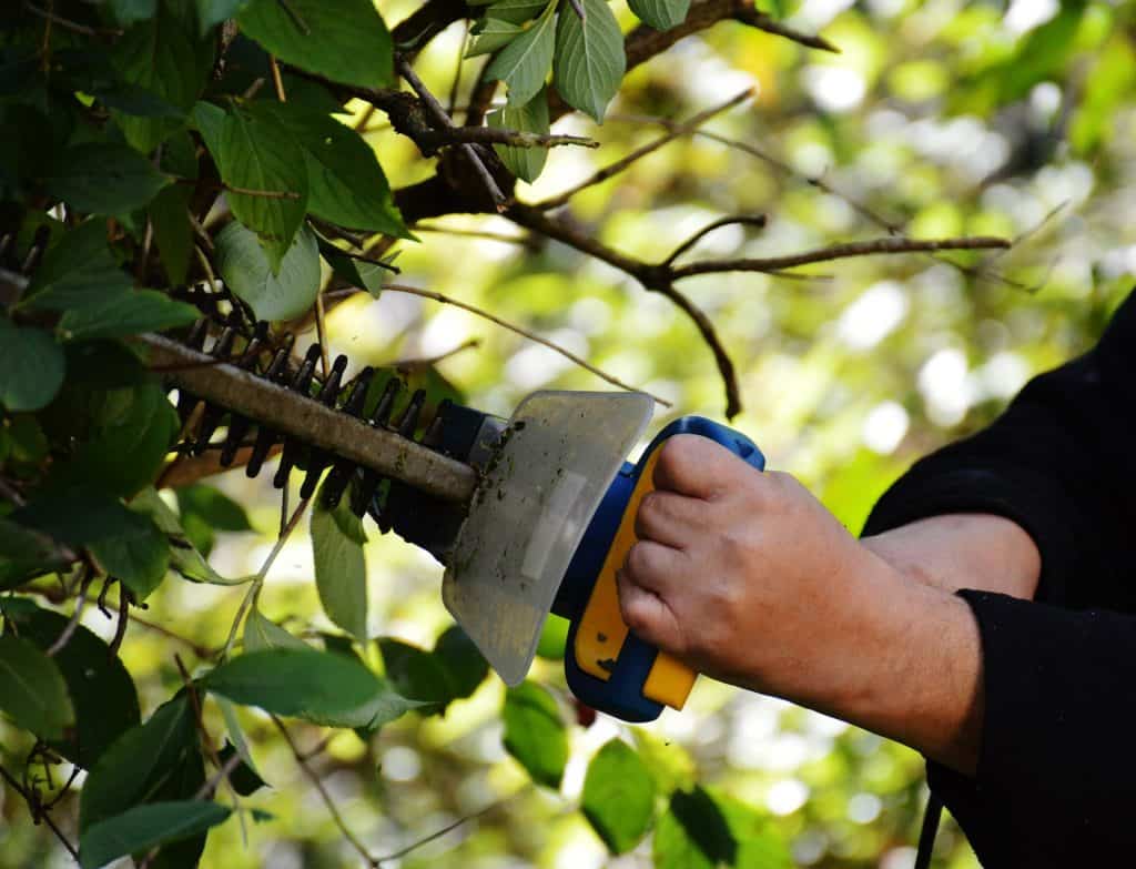 Person using sharpened hedge trimmers