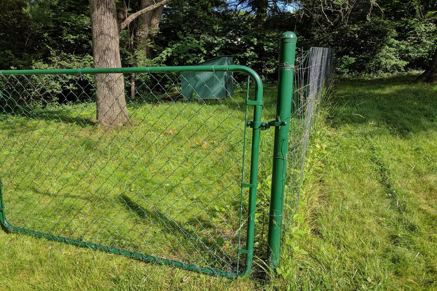 Green fence around tall grass