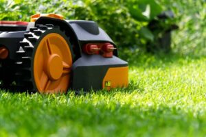 A black and prang corded lawn mower on the green grass on a sunny day