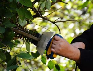 A person wearing black long sleeves shirt is using a hedge trimmer with a blue and yellow handle to cut bushes