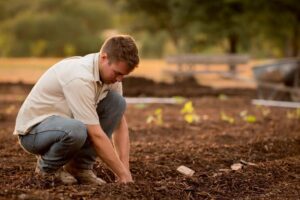 A man wearing a white shirt and denim jeans is preparing the brown soil for planting